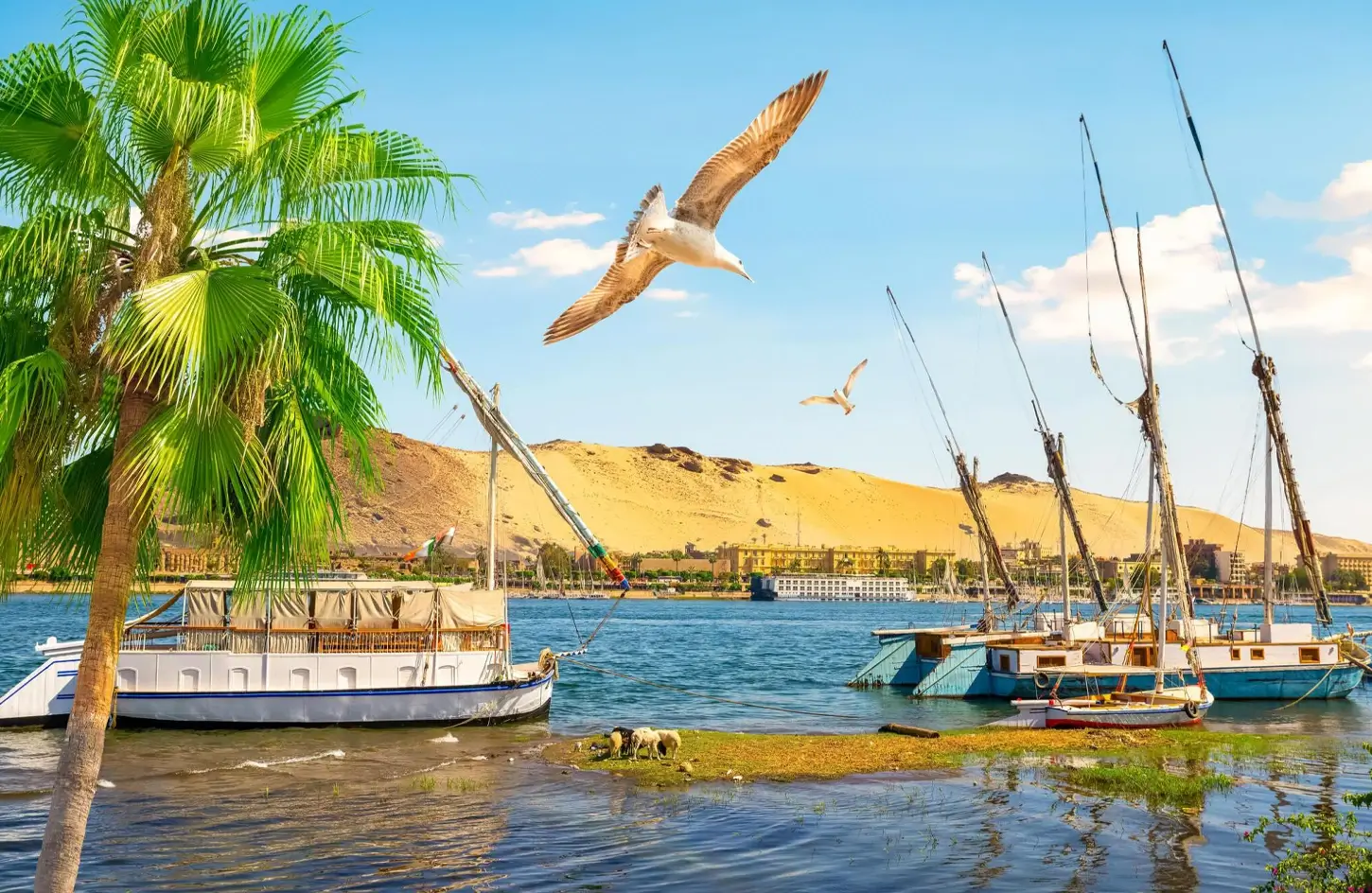 Tipping in Egypt: A Practical Guide for Nile Cruise Travelers